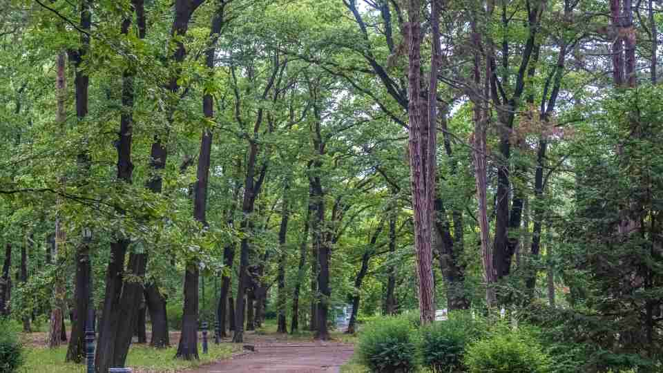 Borisova Gradina Park