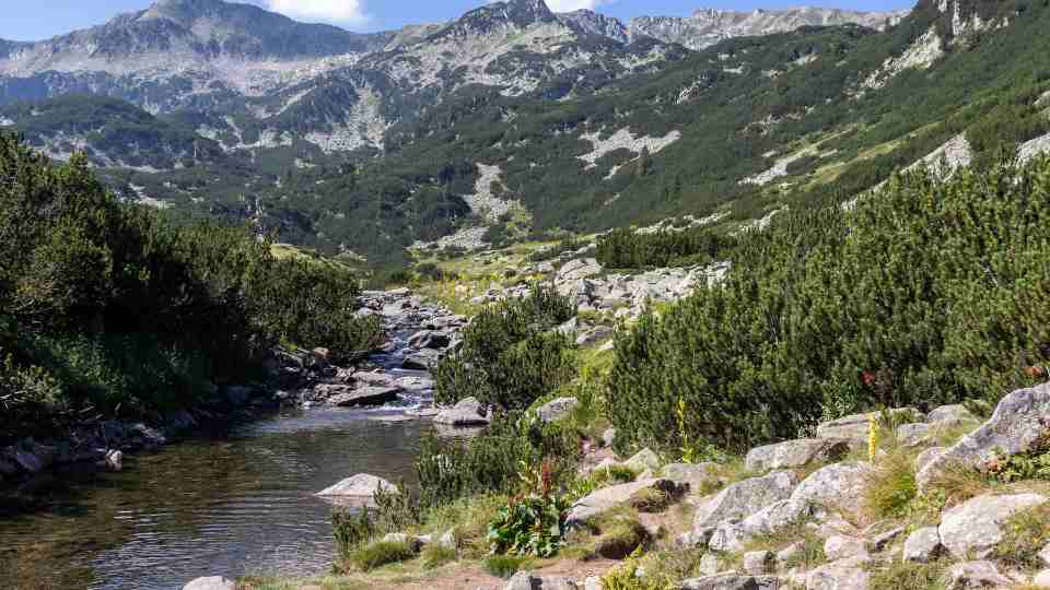 The Beauty of Banderitsa Valley