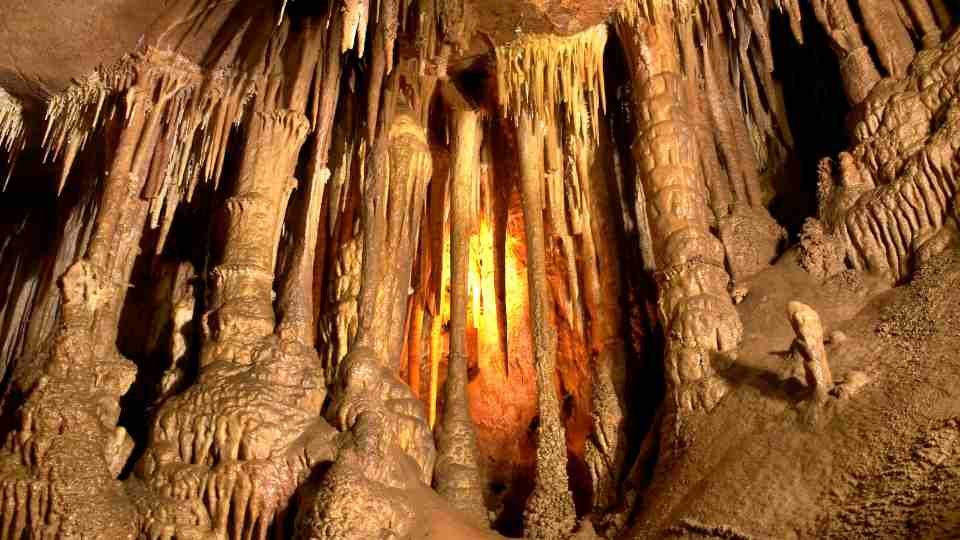 Things to Do Near Yagodina Cave