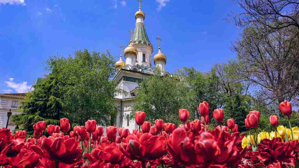 Zaimov Park: Sofia