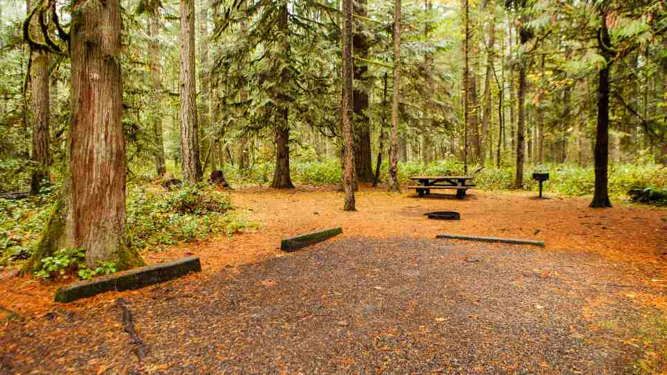 Aleko Hut Campsite