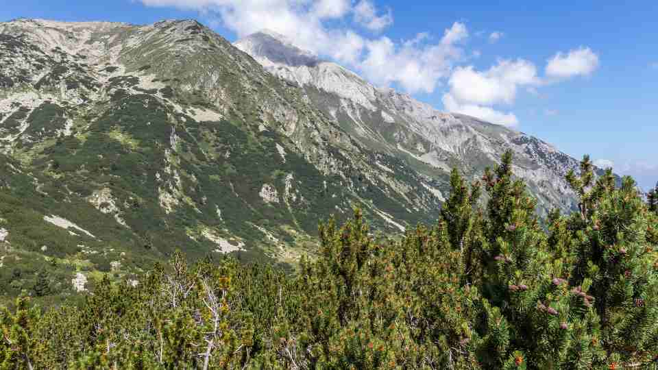 Best Time to Camp at Banderitsa Valley