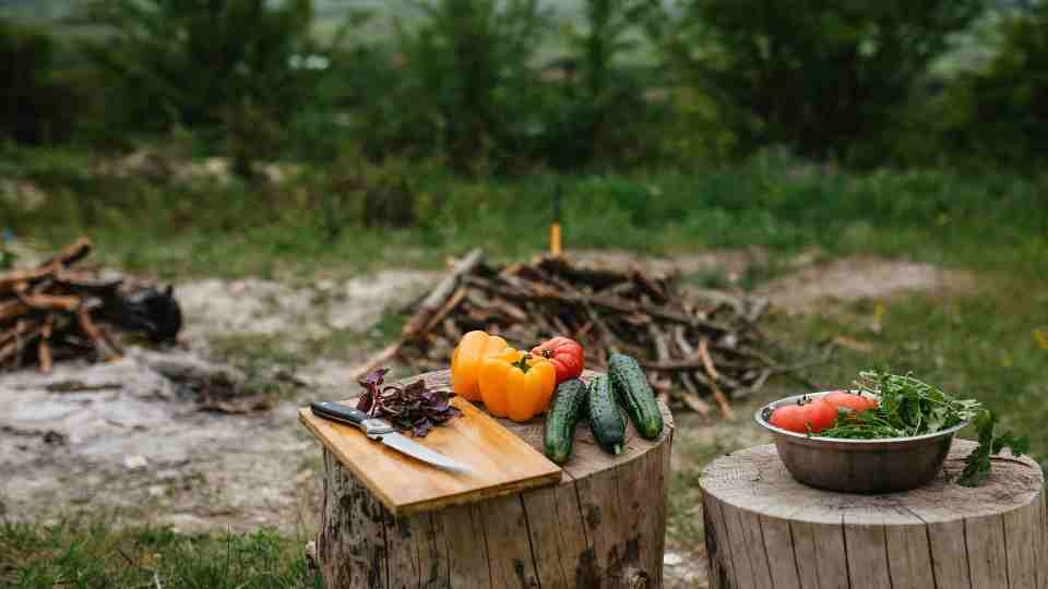 Campsite in Bulgaria